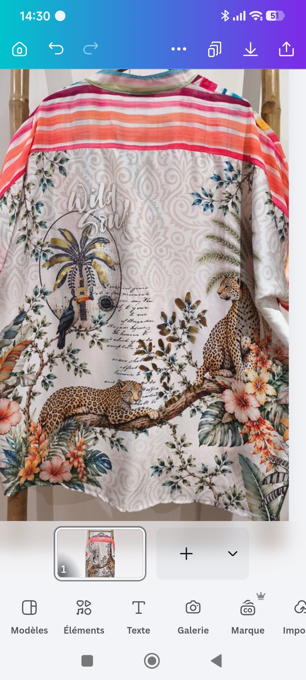 Blouse Rayée Multicolore Imprimé "SAVANNE"