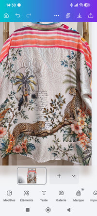 Blouse Rayée Multicolore Imprimé "SAVANNE"